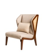 Fauteuil Salon